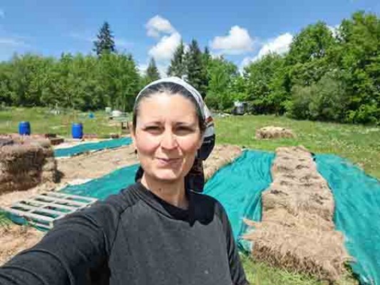 Traitement Nids Frelons guêpes accessible - Bussière-Galant