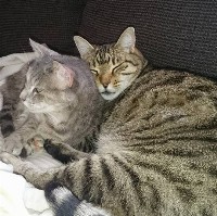 xAV - Sallèles-d'Aude