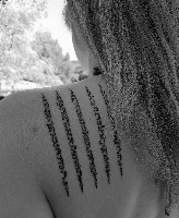 Phoenix33740 - Arès